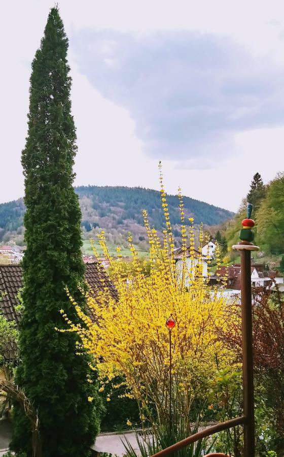 エーバーバッハCasa La Collina Delle Ginestreアパートメント エクステリア 写真
