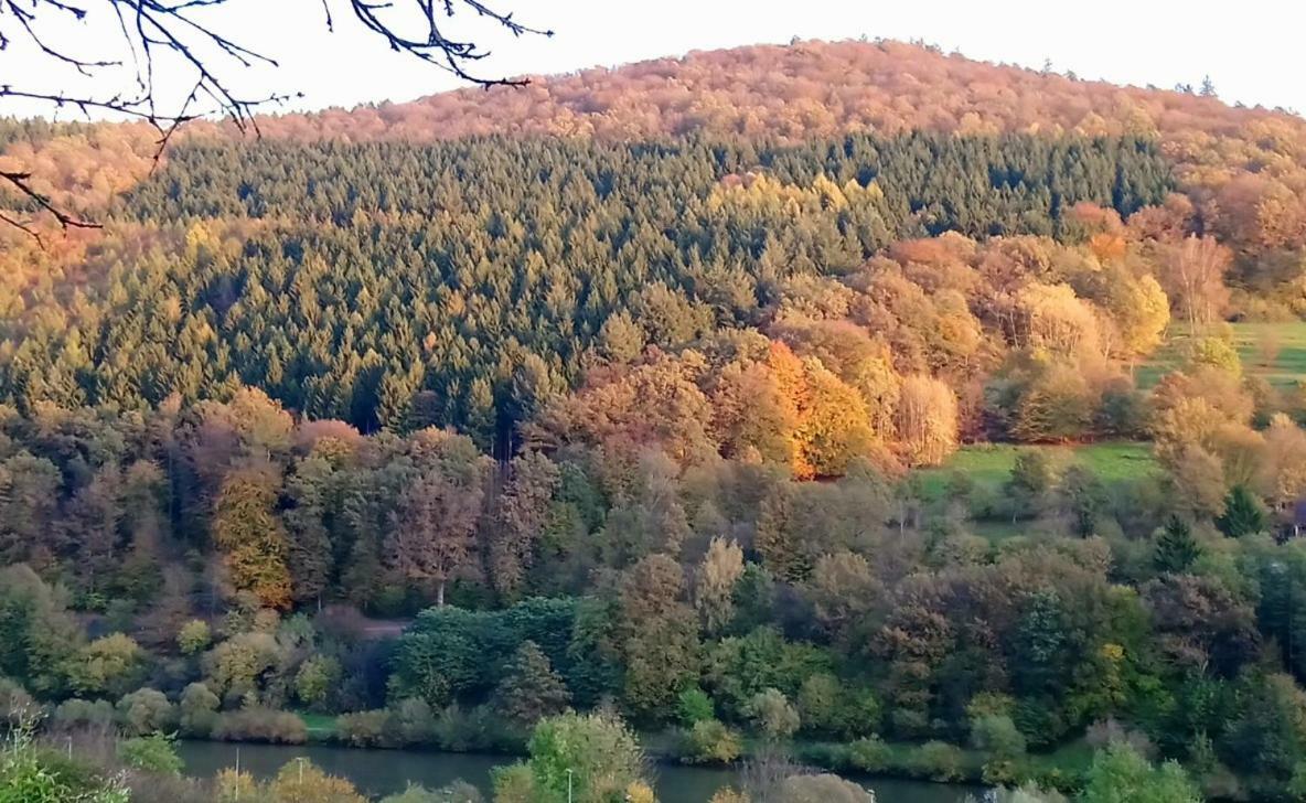 エーバーバッハCasa La Collina Delle Ginestreアパートメント エクステリア 写真